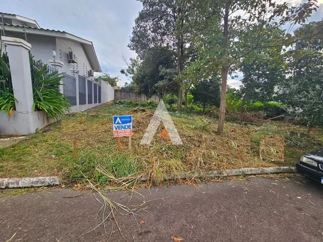 Terreno, foto 2