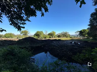 Paisagem de rio e vegetação densa em uma área rural.