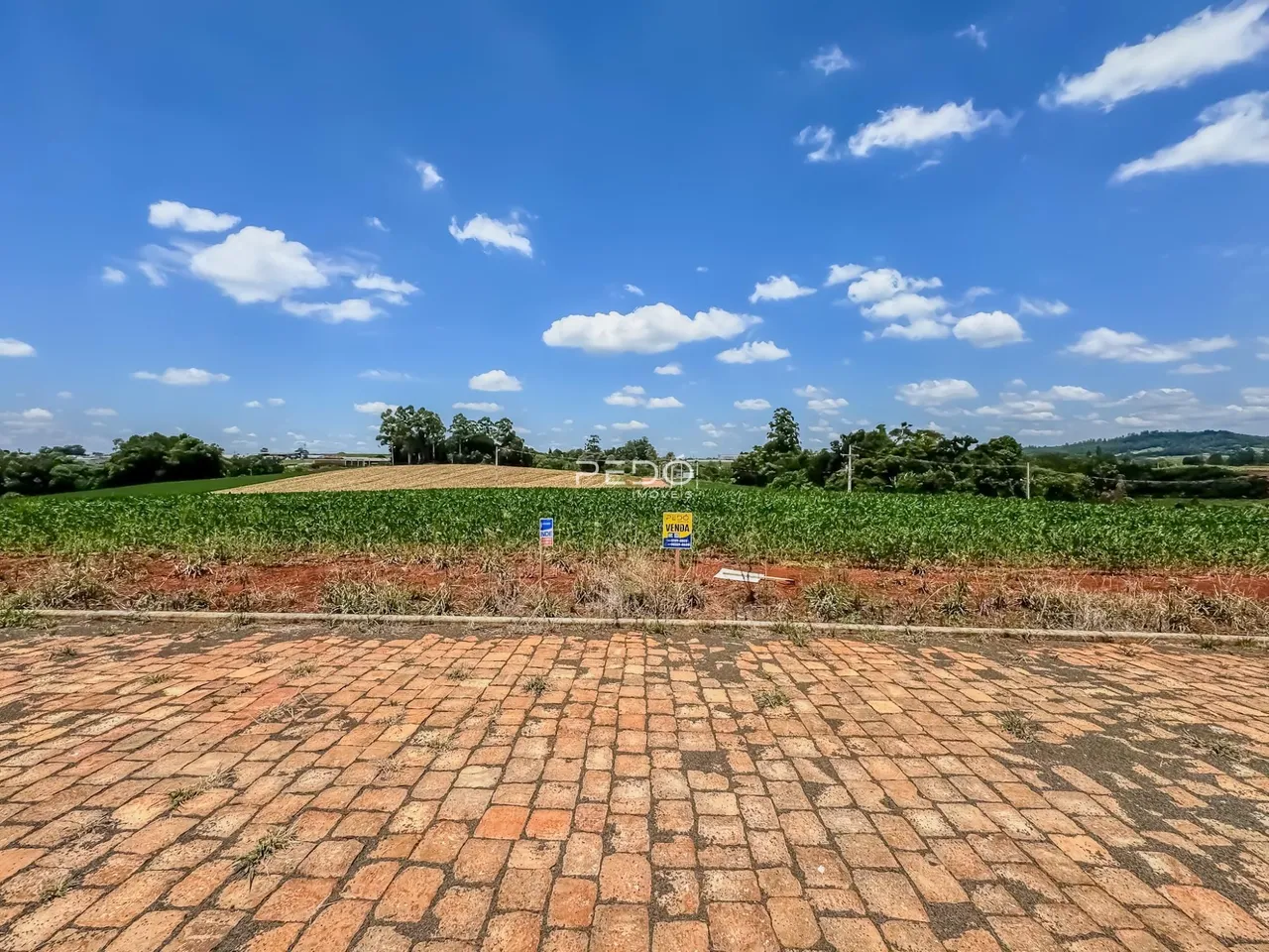 Vista de uma propriedade com campo de cultivo e céu azul.