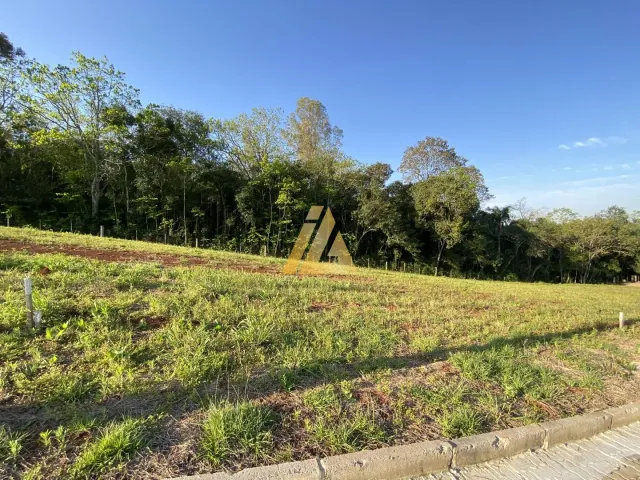Terreno, foto 2
