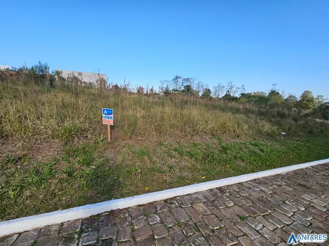 Terreno, foto 2