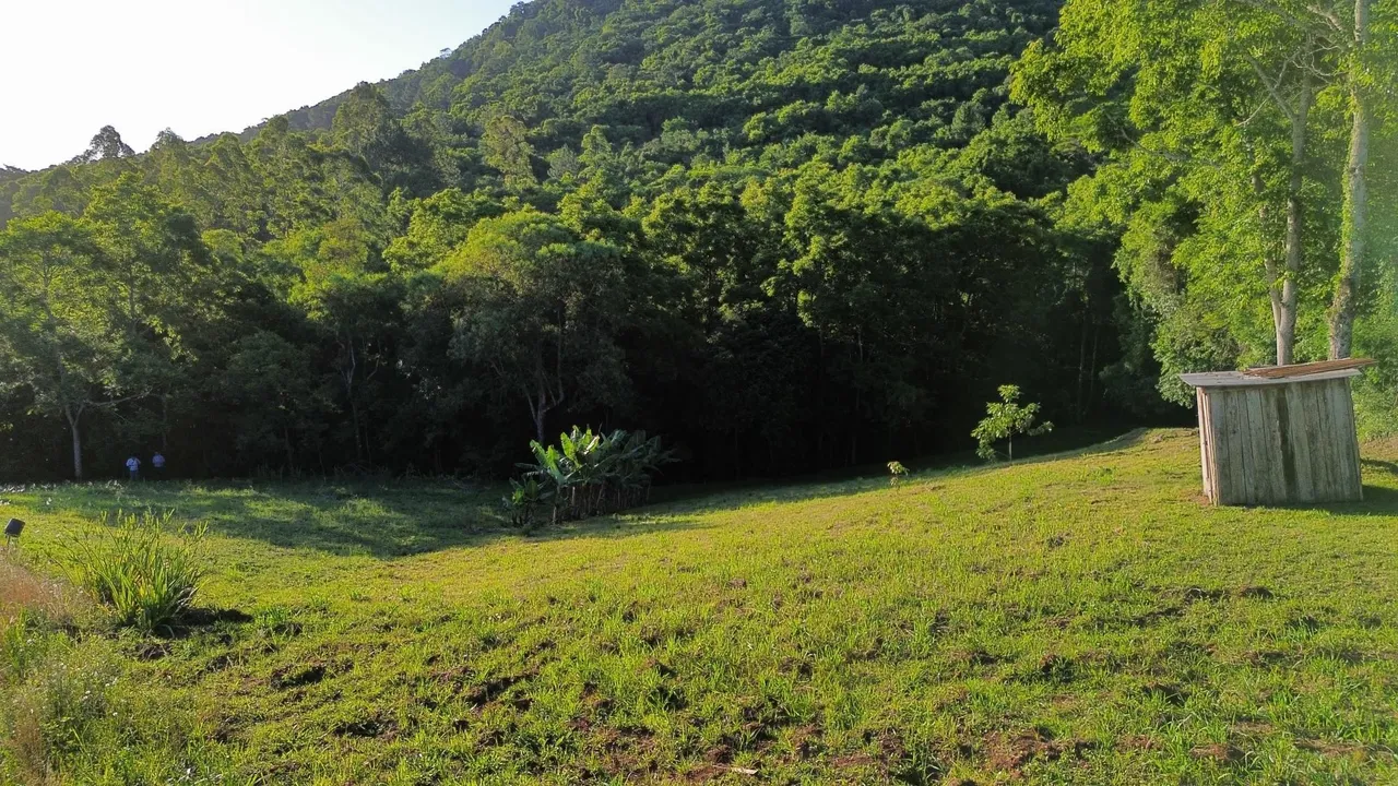 Vista de um campo gramado com vegetação densa ao fundo.