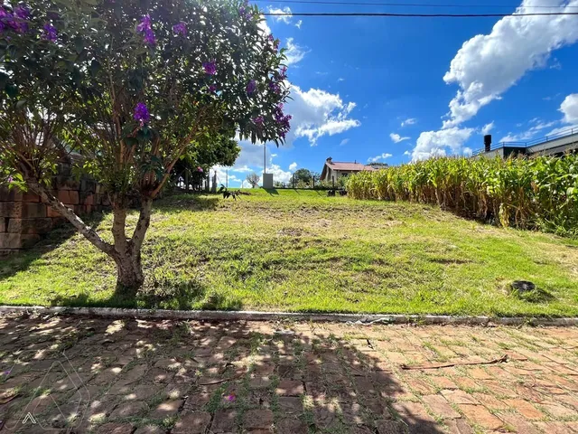 Terreno