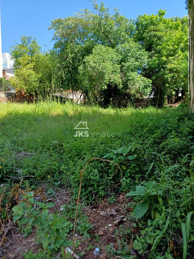 Terreno, foto 4