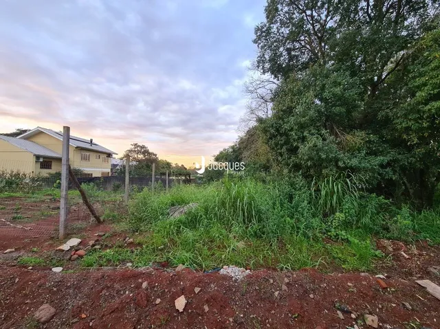 Fachada de uma residência com vegetação densa ao redor.