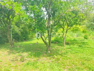 Terreno, foto 9