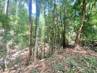 Área rural com 4 dormitórios, foto 24