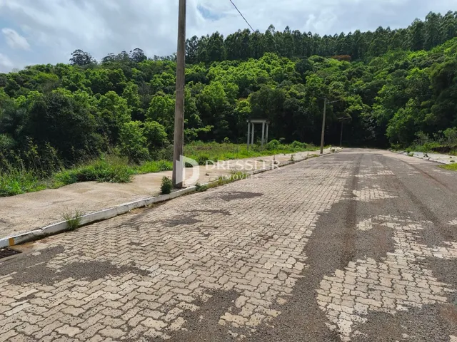 Terreno, foto 3