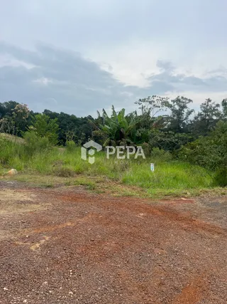 Terreno, foto 3