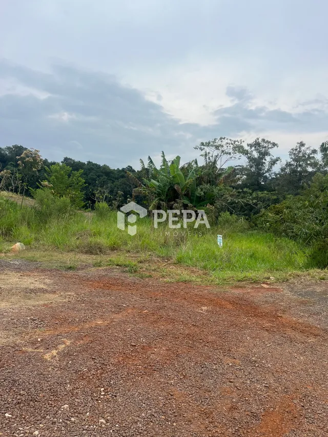 Terreno, foto 3