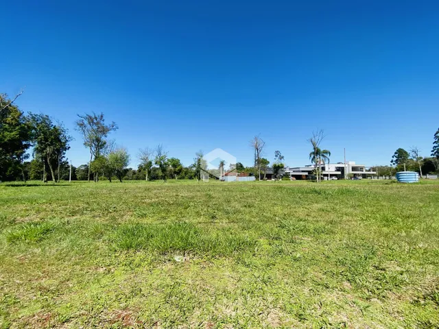 Vista aérea de um campo gramado com árvores ao fundo.