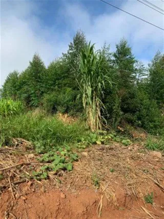 Área rural, foto 8