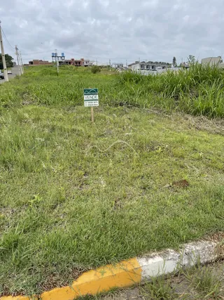 Vista externa de um terreno com vegetação alta em Lajeado, Brasil.
