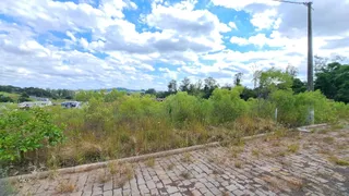 Terreno, foto 3