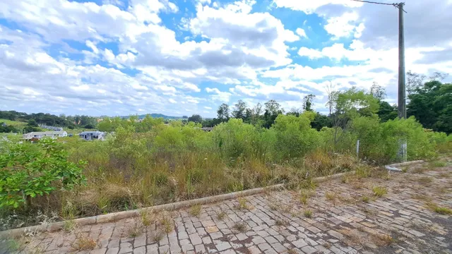 Terreno, foto 3