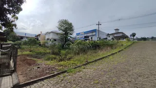Terreno, foto 7