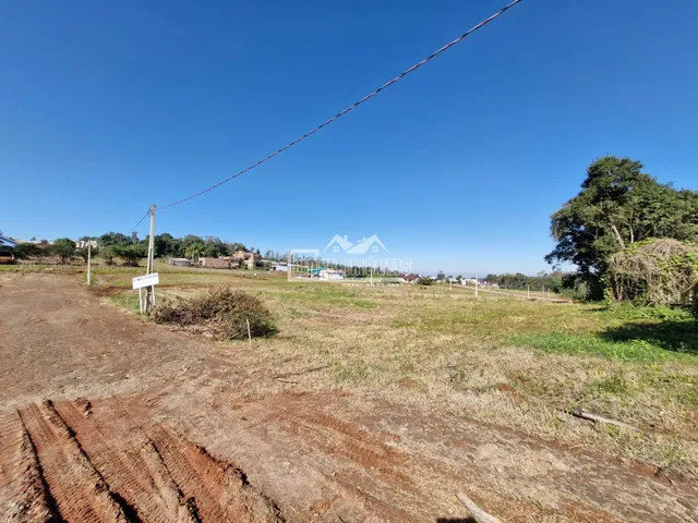 Vista de um terreno com estrada de terra e vegetação seca no campo.