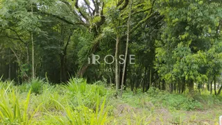 Área rural, foto 6