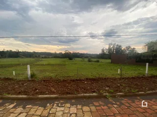Paisagem de campo verde com vegetação ao fundo.