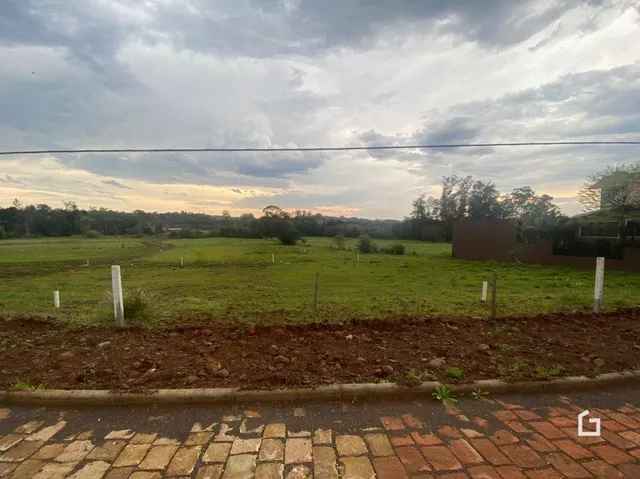 Paisagem de campo verde com vegetação ao fundo.