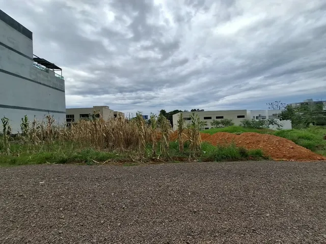 Terreno