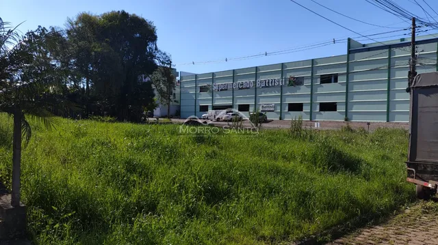 Terreno, foto 5