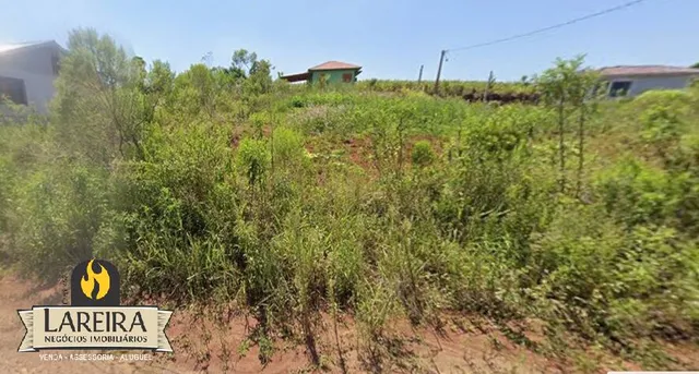 Paisagem de vegetação densa em uma área externa.