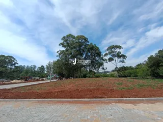 Paisagem de terra vermelha com vegetação e árvores ao fundo sob um céu azul.