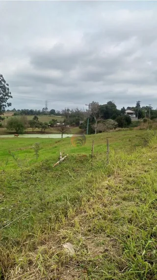 Casa com 4 dormitórios, foto 13