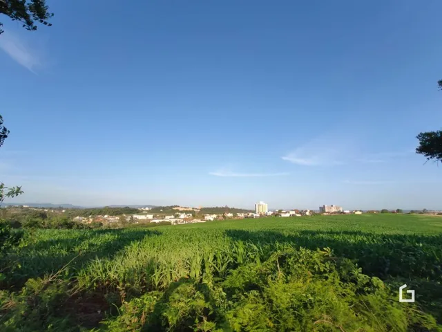 Vista aérea de campo verde sob um céu azul claro.