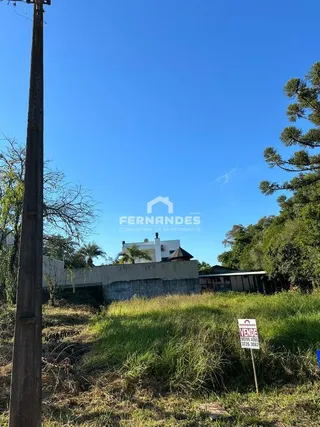 Terreno, foto 4