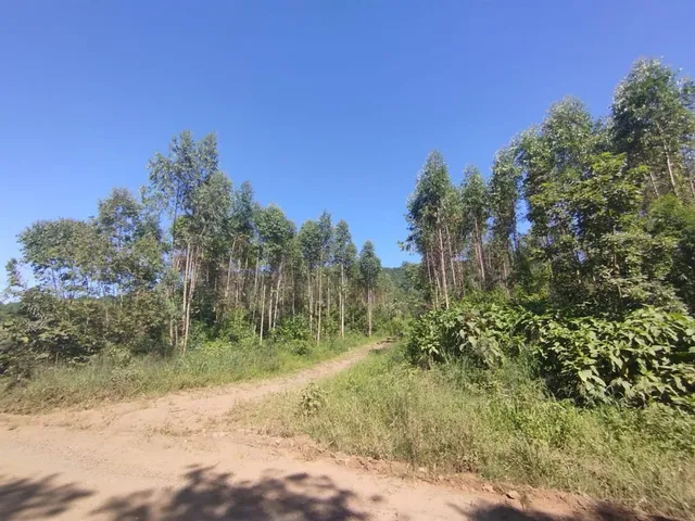 Área rural, foto 2