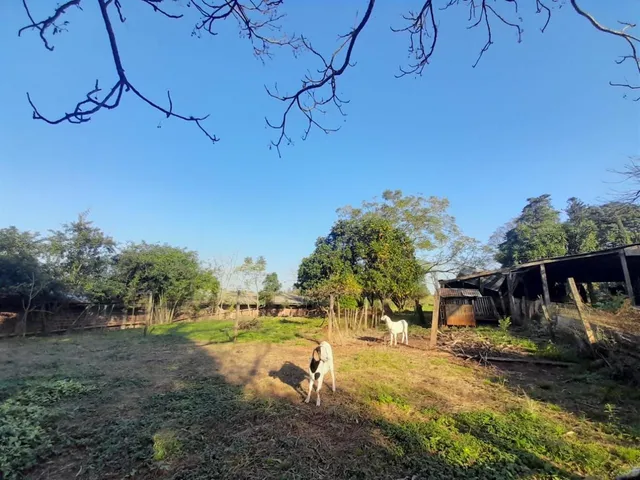 Área rural, foto 3