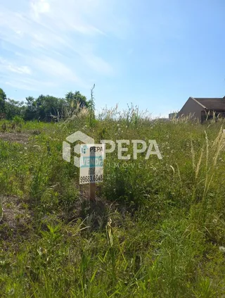 Terreno, foto 2