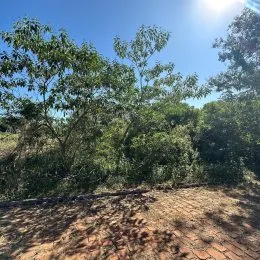 Vista externa da propriedade com vegetação densa e árvores.