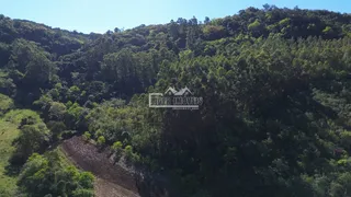 Vista aérea de uma área de mata densa e colinas no Brasil.