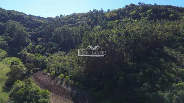 Vista aérea de uma área de mata densa e colinas no Brasil.