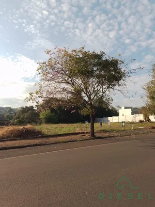 Terreno, foto 2