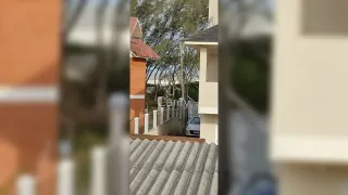 Sobrado com 3 dormitórios, foto 4