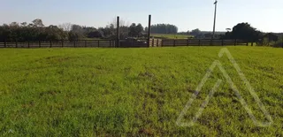 Área rural, foto 3