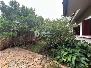 Vista externa do quintal com vegetação densa e piso de pedra.