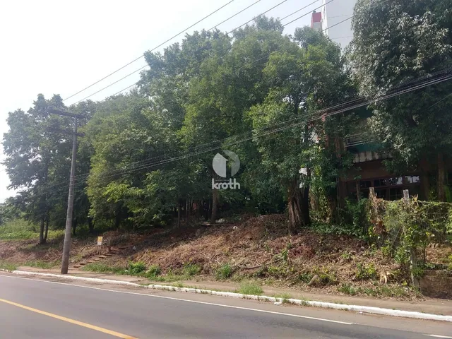 Terreno, foto 3