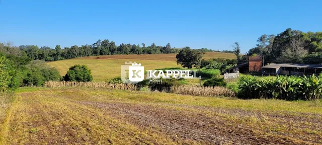 Área rural com 3 dormitórios, foto 2