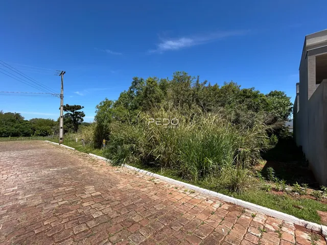 Terreno, foto 3