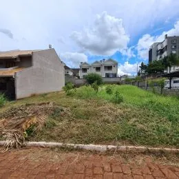 Vista externa de um terreno com vegetação alta e grama seca.