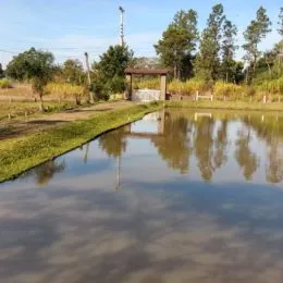 Vista de um canal com reflexos de árvores em uma propriedade em Lajeado.