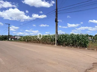 Terreno, foto 2