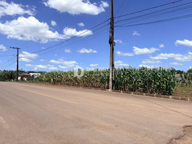 Terreno, foto 2