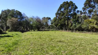 Área rural, foto 9