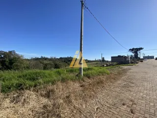 Terreno, foto 3
